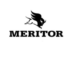 Заявка на торговельну марку № m202513666: meritor