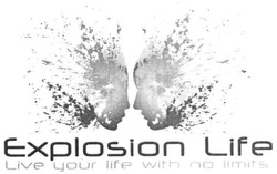 Свідоцтво торговельну марку № 221509 (заявка m201618355): explosion life; live your life with no limits