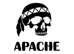 Свідоцтво торговельну марку № 337985 (заявка m202123148): apache; арасне