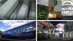 Заявка на торговельну марку № m202517321: ck; insortex спонсор ск ˮполтаваˮ