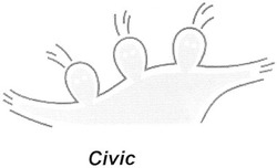 Свідоцтво торговельну марку № 45703 (заявка 2003020996): civic