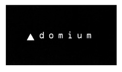 Заявка на торговельну марку № m202109750: domium