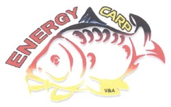 Свідоцтво торговельну марку № 240915 (заявка m201620502): energy carp; v&a; va