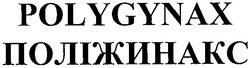 Свідоцтво торговельну марку № 48390 (заявка 2003044106): поліжинакс; polygynax