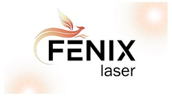 Заявка на торговельну марку № m202114306: fenix laser