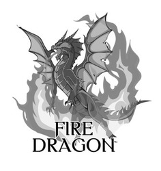 Заявка на торговельну марку № m202113042: fire dragon