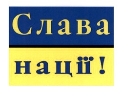 Заявка на торговельну марку № m202416541: слава нації!