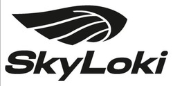 Заявка на торговельну марку № m202522980: sky loki; skyloki