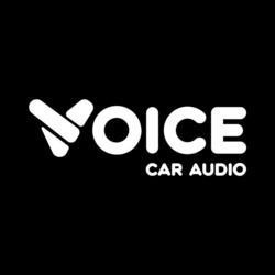 Заявка на торговельну марку № m202313675: voice car audio