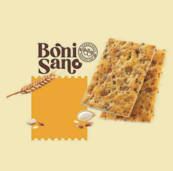 Заявка на торговельну марку № m202508347: boni sano; handcraft.made with love