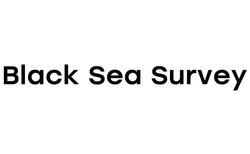 Свідоцтво торговельну марку № 305004 (заявка m202103267): black sea survey