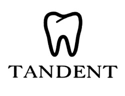 Свідоцтво торговельну марку № 302739 (заявка m202004875): tandent