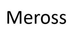 Заявка на торговельну марку № m202409871: meross