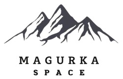 Заявка на торговельну марку № m202522255: мagurкa space