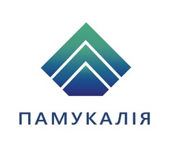 Заявка на торговельну марку № m202415220: памукалія