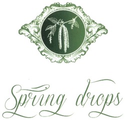 Свідоцтво торговельну марку № 181628 (заявка m201222546): spring drops