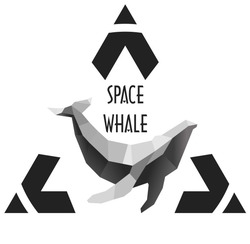 Заявка на торговельну марку № m202524357: space whale