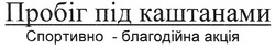 Заявка на торговельну марку № m201004276: пробіг під каштанами спортивно-благодійна акція