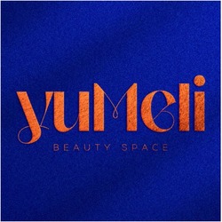 Заявка на торговельну марку № m202603928: beauty space; yumeli