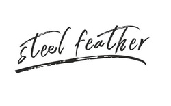 Свідоцтво торговельну марку № 325579 (заявка m202101565): steel feather