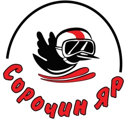 Заявка на торговельну марку № m202523431: сорочин яр