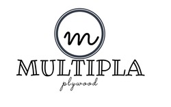 Заявка на торговельну марку № m202310717: multipla plywood