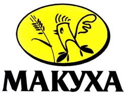 Свідоцтво торговельну марку № 54953 (заявка 2004032077): makyxa; макуха