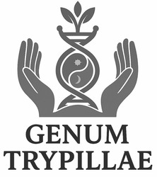 Заявка на торговельну марку № m202516424: genum trypillae