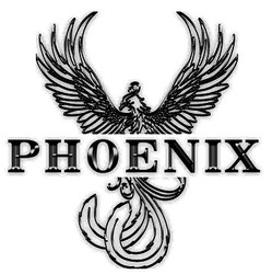 Заявка на торговельну марку № m202211859: phoenix