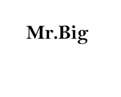 Свідоцтво торговельну марку № 334504 (заявка m202118062): mr big; mr.big