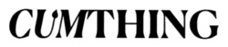Заявка на торговельну марку № m202515738: cumthing