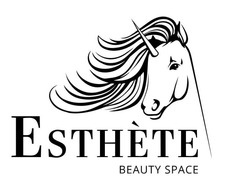 Заявка на торговельну марку № m202313571: esthete beauty space