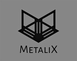Заявка на торговельну марку № m202201971: metalix