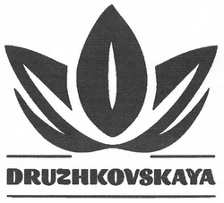 Свідоцтво торговельну марку № 280299 (заявка m201814197): druzhkovskaya
