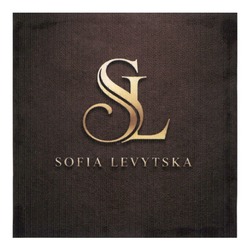 Заявка на торговельну марку № m202606146