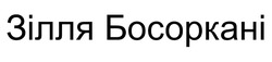 Заявка на торговельну марку № m202505321: зілля босоркані