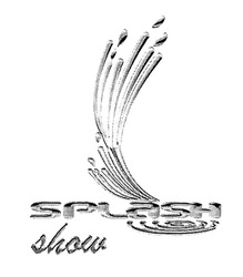 Свідоцтво торговельну марку № 296520 (заявка m201913411): splash show