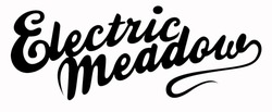 Свідоцтво торговельну марку № 299004 (заявка m201916262): electric meadow