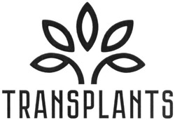Свідоцтво торговельну марку № 300802 (заявка m201916371): transplants