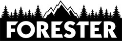 Свідоцтво торговельну марку № 330219 (заявка m202102866): forester
