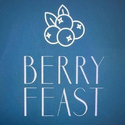 Заявка на торговельну марку № m202312789: berry feast