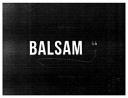 Заявка на торговельну марку № m202214130: balsam