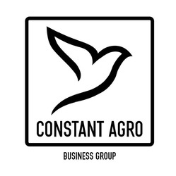 Свідоцтво торговельну марку № 327504 (заявка m202107315): constant agro; business group