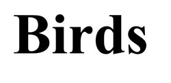Заявка на торговельну марку № m201621321: birds