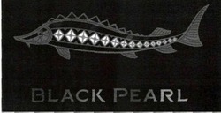 Заявка на торговельну марку № m202114386: black pearl