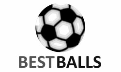 Свідоцтво торговельну марку № 295348 (заявка m201905404): bestballs; best balls