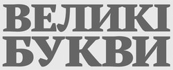 Заявка на торговельну марку № m202505489: великі букви