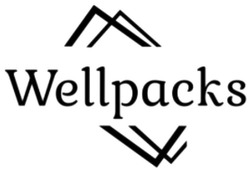 Свідоцтво торговельну марку № 317377 (заявка m202116216): wellpacks