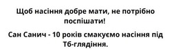 Заявка на торговельну марку № m202417524: сан санич - 10 років смакуємо насіння під тб-глядіння; щоб насіння добре мати, не потрібно поспішати!