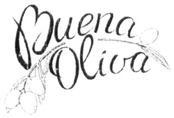 Свідоцтво торговельну марку № 294107 (заявка m201908749): buena oliva